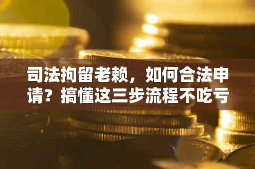 济南司法拘留老赖，如何合法申请？搞懂这三步流程不吃亏！