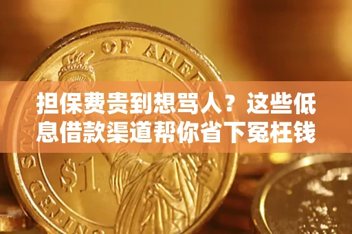 济南担保费贵到想骂人？这些低息借款渠道帮你省下冤枉钱