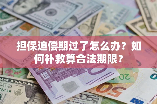 济南担保追偿期过了怎么办？如何补救算合法期限？