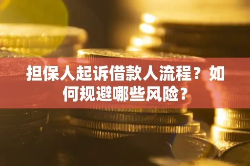 济南担保人起诉借款人流程？如何规避哪些风险？