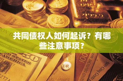济南共同债权人如何起诉？有哪些注意事项？
